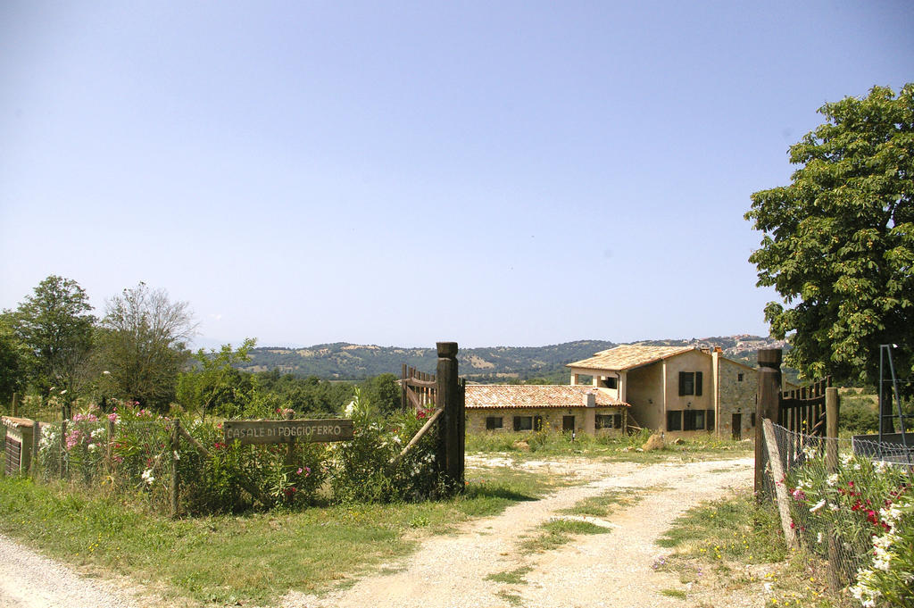 B&B Casale Di Poggioferro Scansano Kültér fotó